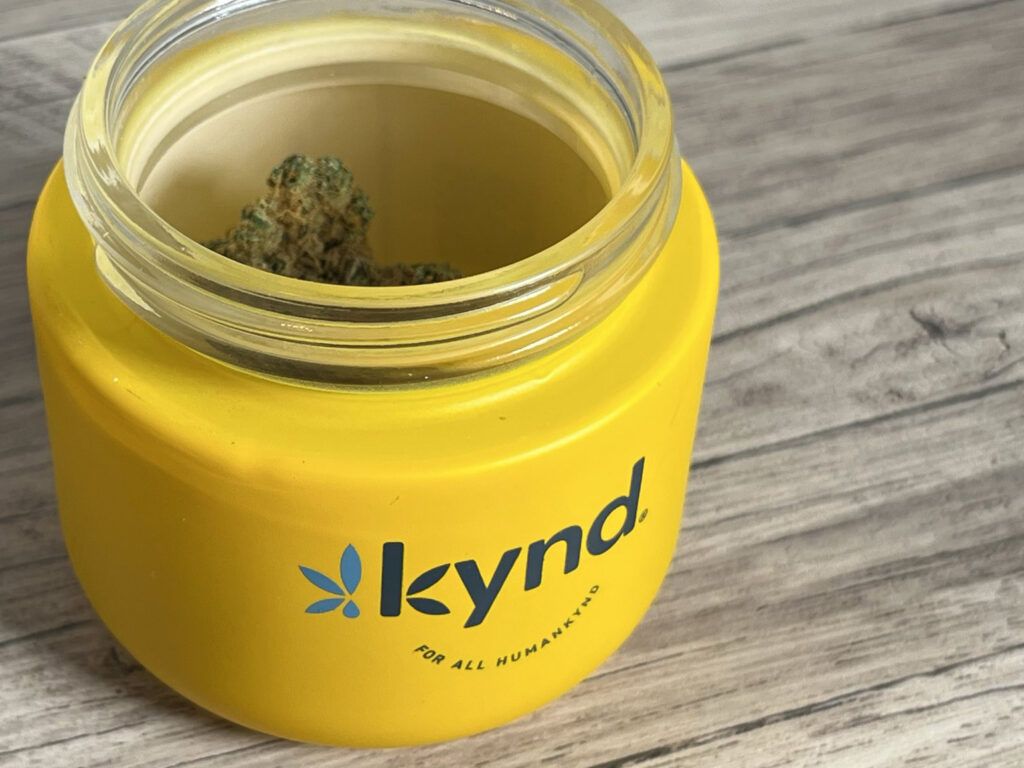 Medicinal Cannabis in Florida: Applications for COPD and Respiratory Conditions