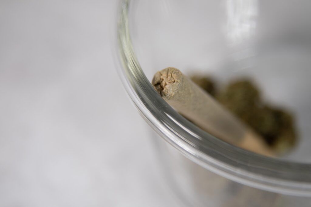 Marijuana Consumption in Florida: A Demographic Analysis (2022-2024)